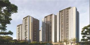 Mihir Amara Phase 1